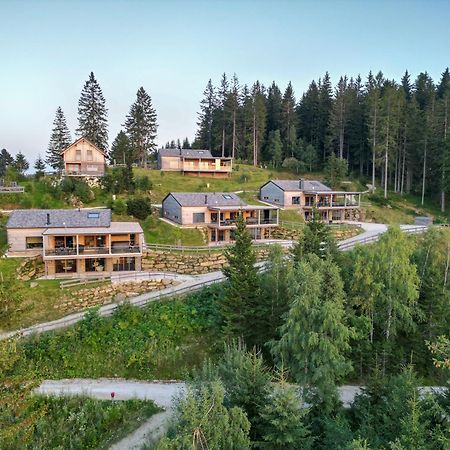 Brandlalm Chalets Gundisch エクステリア 写真