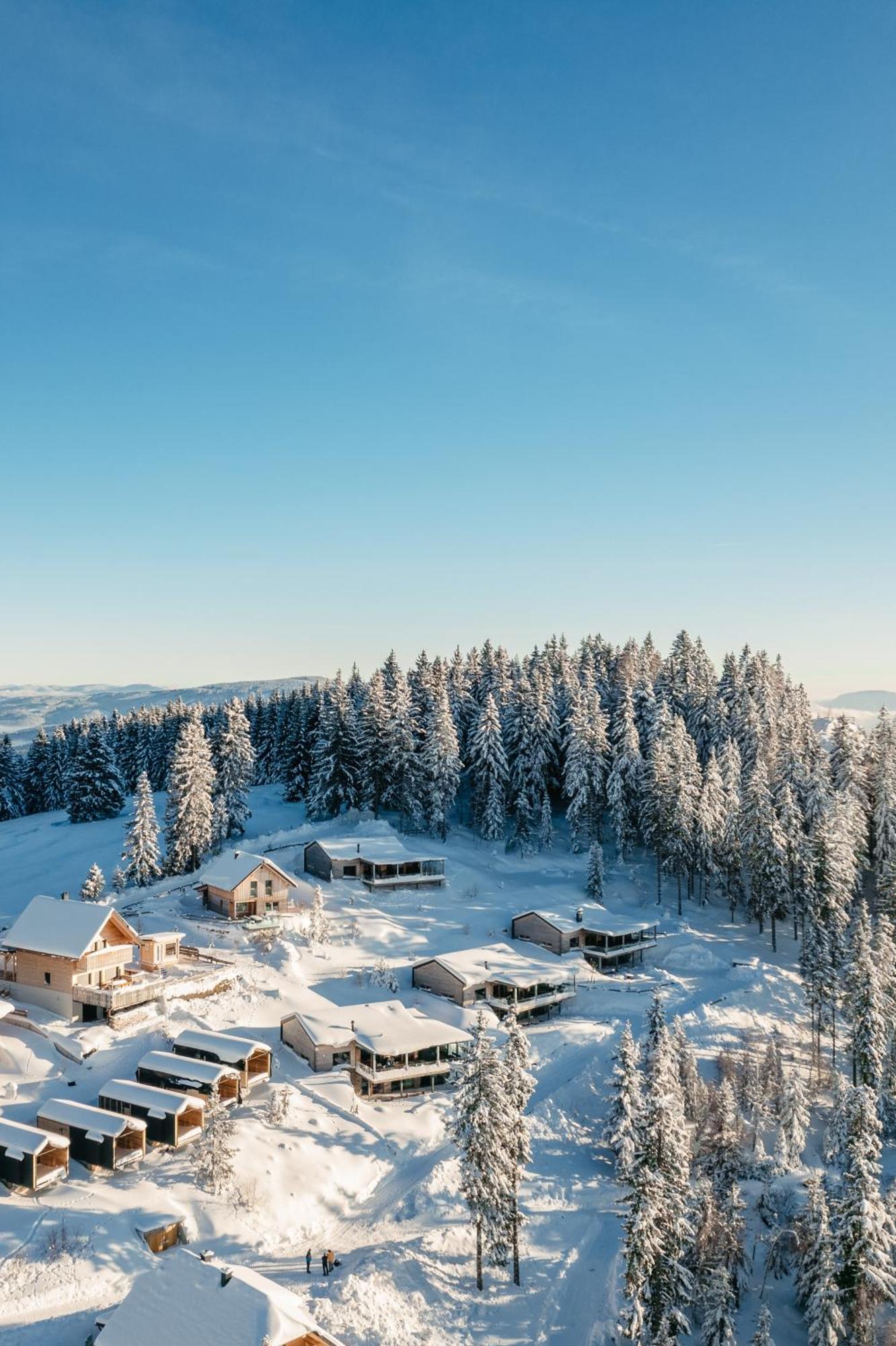 Brandlalm Chalets Gundisch エクステリア 写真