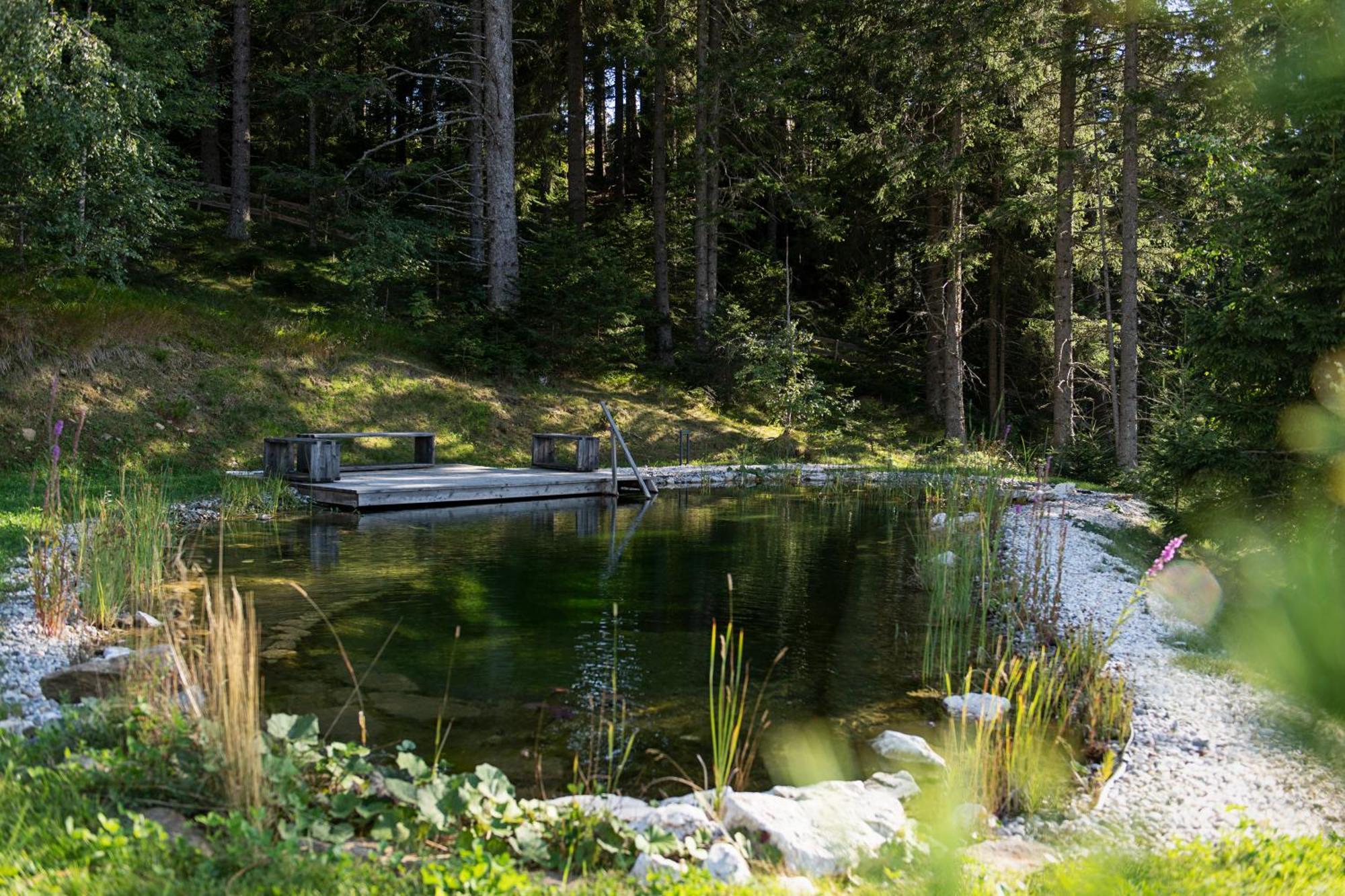 Brandlalm Chalets Gundisch エクステリア 写真